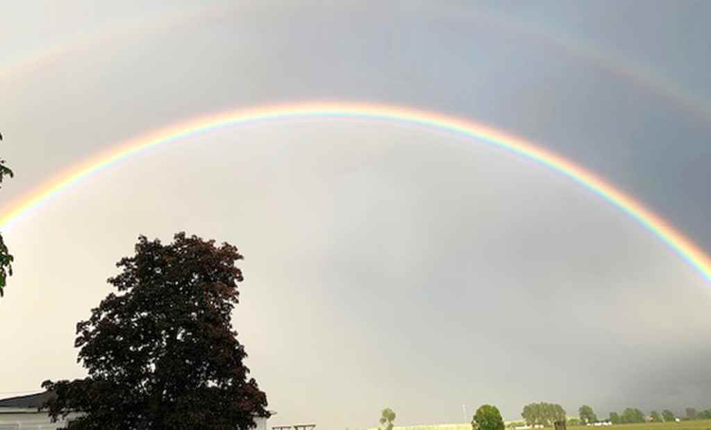 Surveying The Aftermath