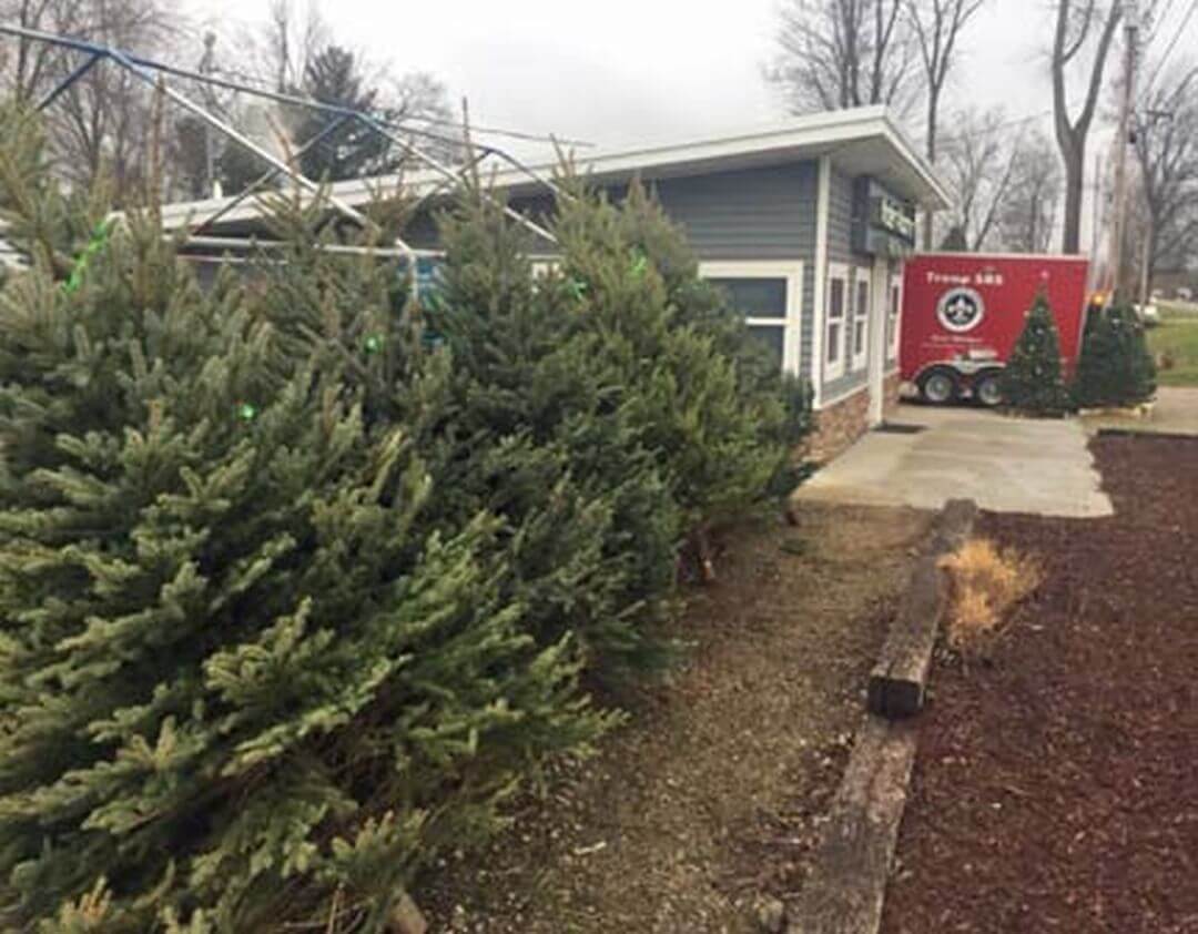 Successful Scout Tree Sale