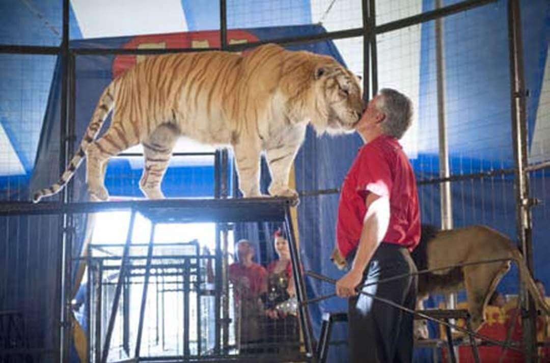 America’s Favorite Old-Fashioned Big Top Circus is Coming to Town